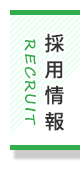 採用情報